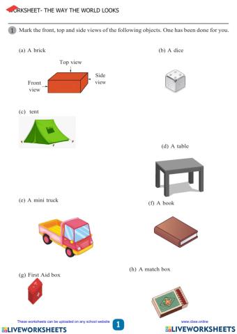 The way the world looks