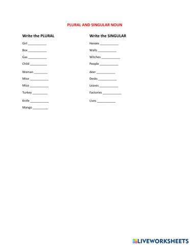 Plural and Singular Noun