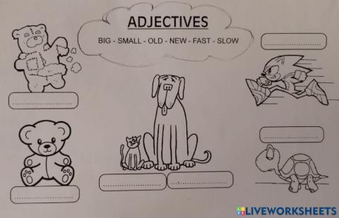 Adjectives