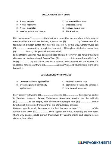 TRS6 - biology (1) - collocation