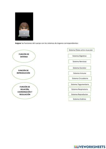 Nos ponemos a prueba