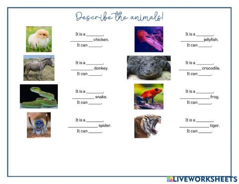 Cubs: What can they do?