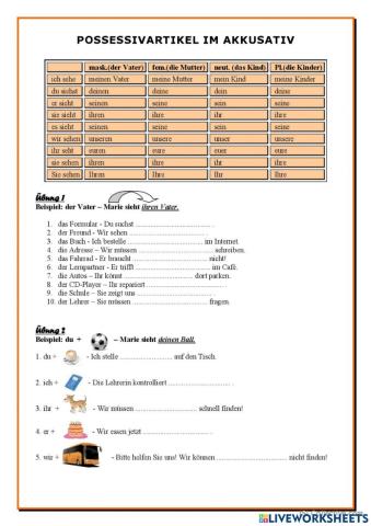 Possessivartikel im Akkusativ (Erklärung und Übung)