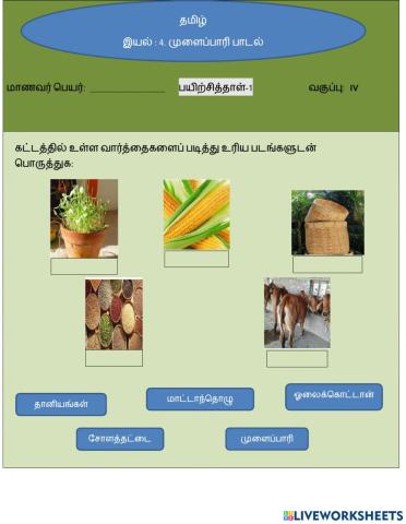 முளைப்பாரி பாடல்