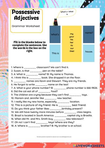 POSSESSIVE ADJECTIVES - PRACTICE