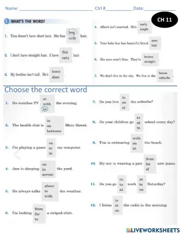 L1.CH11. Pg 81-82. Simple present - have has