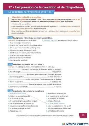 Les Hypothèses et le conditionnel 