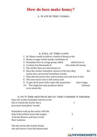 How do bees make honey?