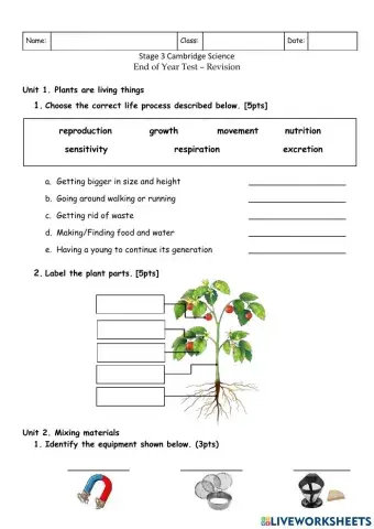 End-of-Year Test - Revision