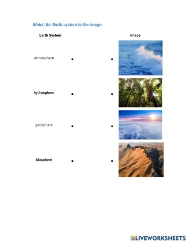 Human's Impact on the Environment