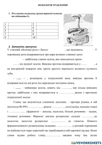 Фізіологія травлення