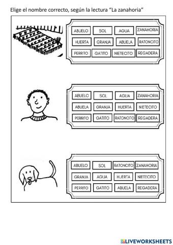 Elige la palabra correcta según la imagen del texto La zanahoria