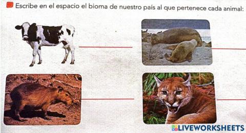 Animales y biomas- Uruguay
