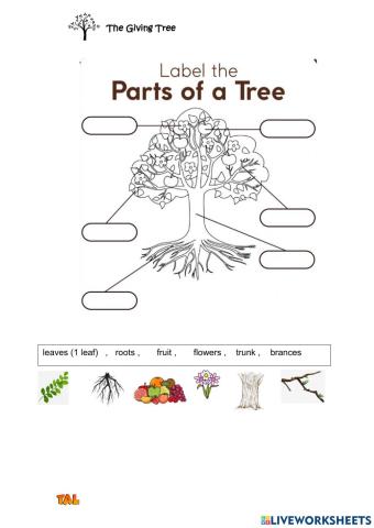 Parts of tree + what it gives us