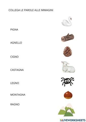 Collega le parole alle immagini (GN)