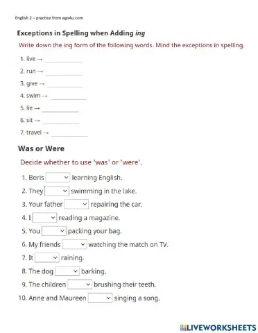 Past Continous practice