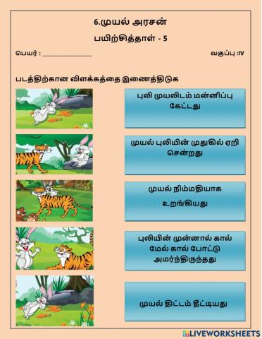 6. முயல் அரசன்