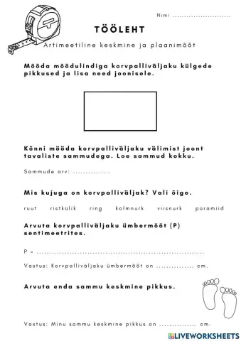 Õuetund. Artimeetiline keskmine ja plaanimõõt