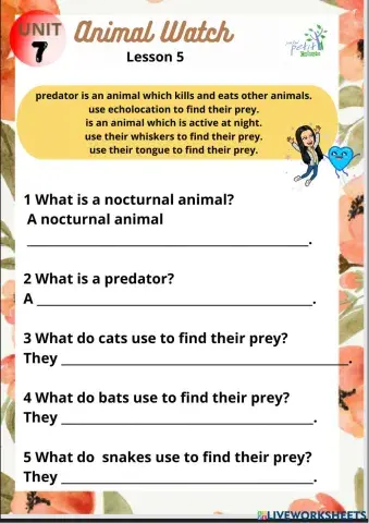 To learn about nocturnal animals