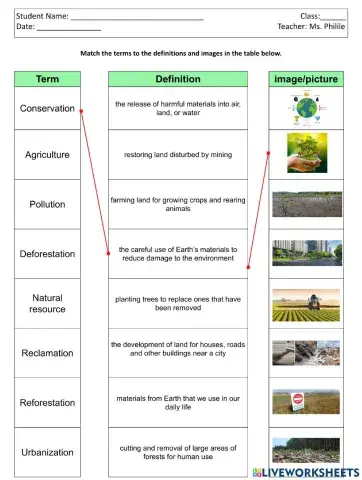 Human Impact on land vocabulary