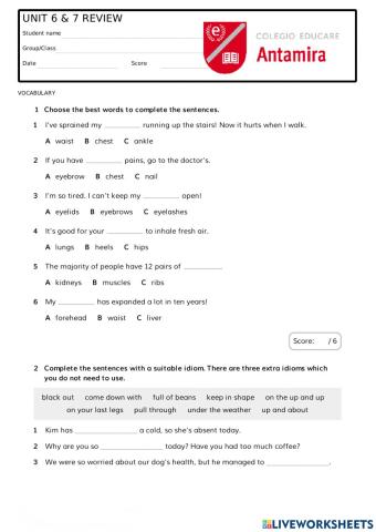 3rd term unit 6 and 7 review