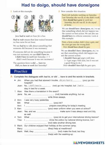 Basic Grammar - 48 Had to do, should have done