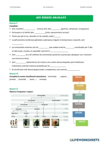 L'ésser humà Homo sapiens