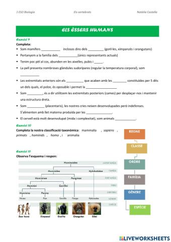 L'ésser humà Homo sapiens