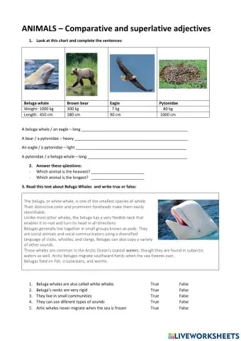 Animals- comparative and superlative adjectives