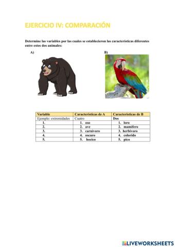 Ejercicio de comparación