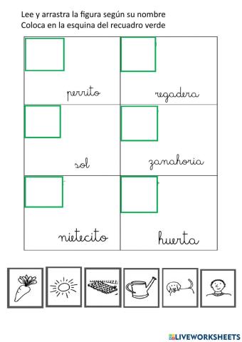 Coloca el dibujo con su palabra del texto la zanahoria