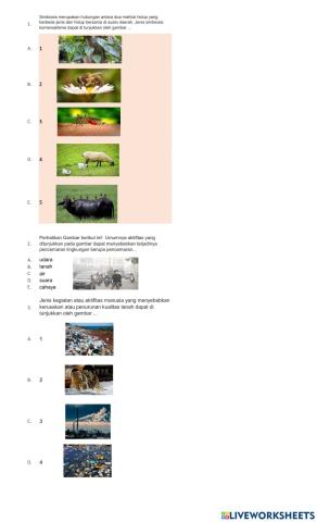 Remedial Semester-1 PIPAS