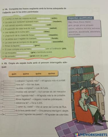 Gènere i nombre adjectius