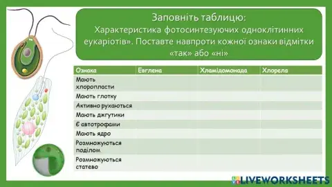 Характеристика фотосинтезуючих одноклітинних еукаріотів