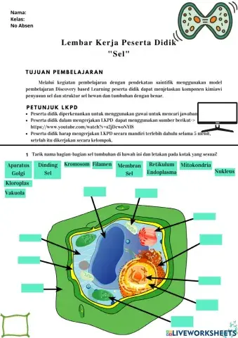Struktur sel tumbuhan