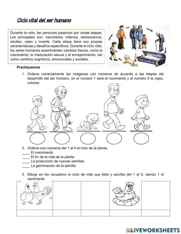 ciclo vital, grado tercero de primaria