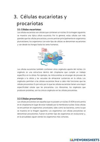Procariotas y eucariotas