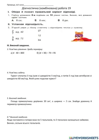 Діагностична робота 19