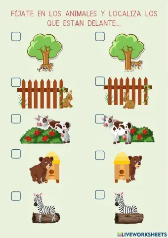 Orientación espacial