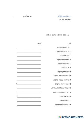 מבדק יחיד-רבים רמה א