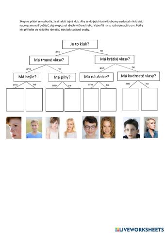 Rozhodovací strom 1