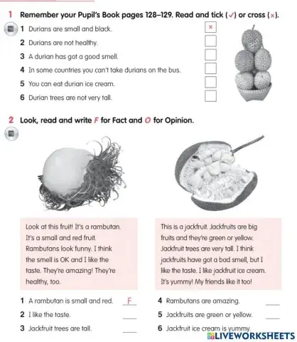AS1 U10 Durian fruit WB