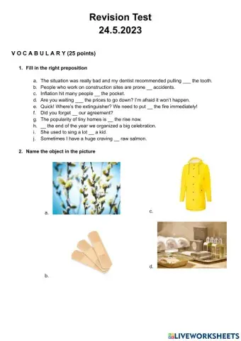 Revision Test Sandra, Luke, Lukáš