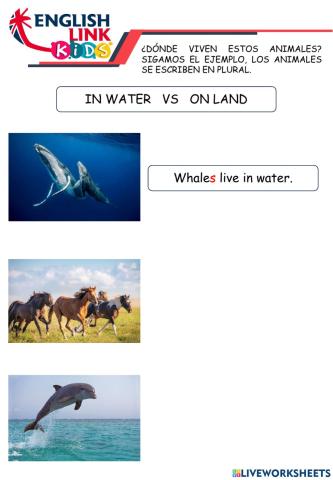 Animals - on land - in water