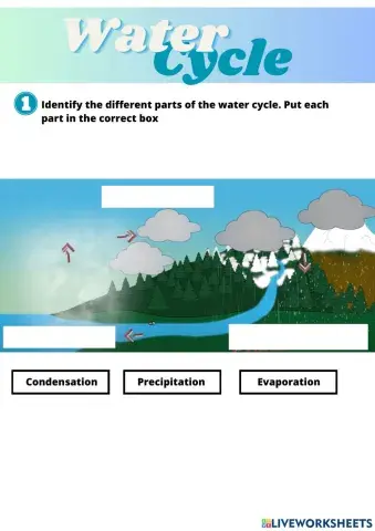 Water cycle