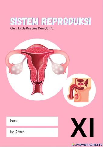 Sistem Reproduksi