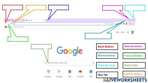 Google Chrome Browser Basics