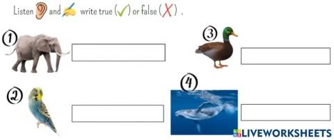 Reading - animal descriptions