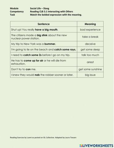 Reading CLB 3.1 Interacting with Others - Match Slang Expressions with Meanings