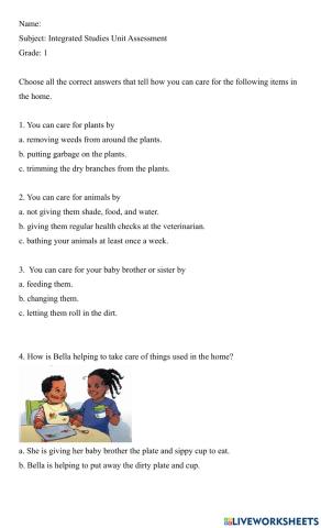 Caring for things in the home